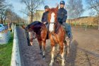 Zkouška policejních koní