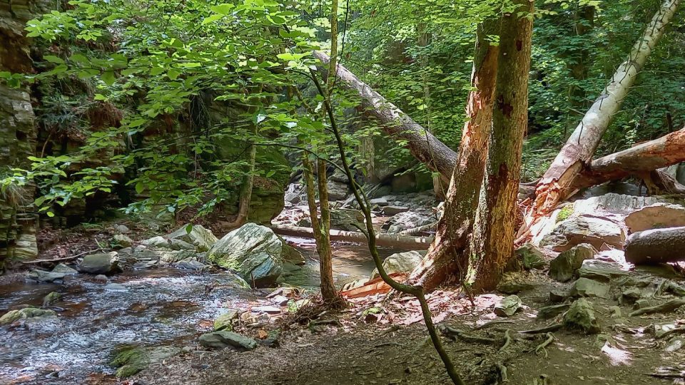 Cesta vede po zelené turistické značce údolím kolem koryta říčky Huntavy