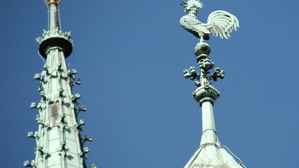 Kohout na věži Katedrály sv. Víta, Vojtěcha a Václava