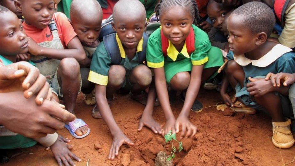 Děti ze základní školy MINEDUB v Somalomu zasadily svůj strom 