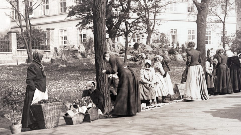 Trh s houbami v Šafaříkových sadech, v pozadí ústí Mansfeldovy (Dřevěné) ulice (kolem 1900)