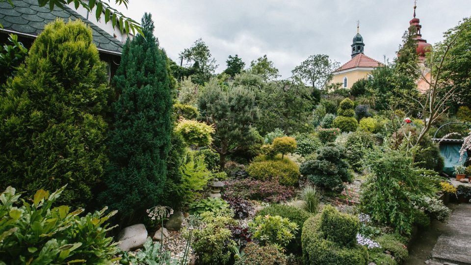 Nádherně upravená zahrada připomíná spíš arboretum ve svahu. O všechny rostliny, keře a stromy se s láskou stará jeho manželka