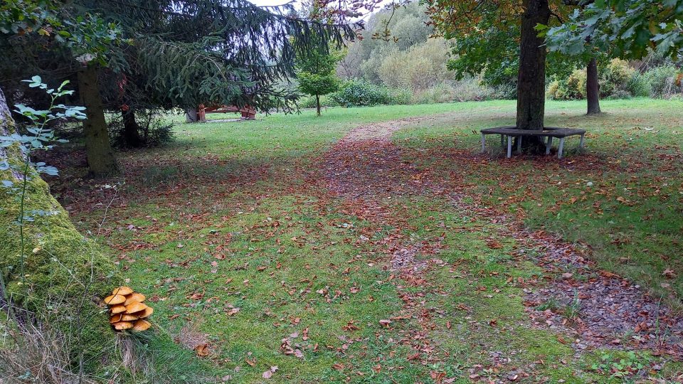 V blízkosti rybníka je malebné okolí | foto: Anděla Blažková, Český rozhlas V blízkosti rybníka je malebné okolí