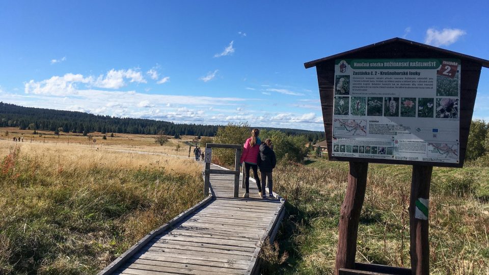 Naučná stezka má celkem 12 zastavení