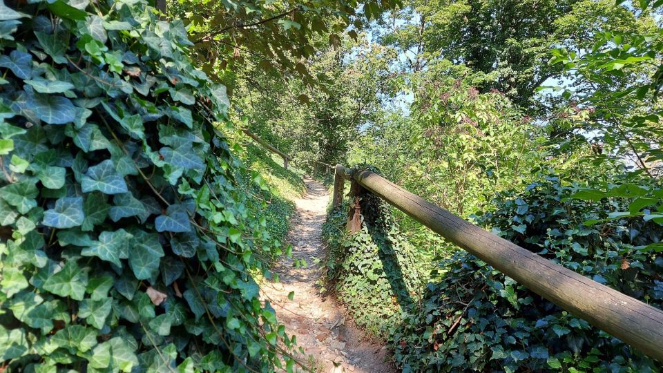 Cestička, která z dolní části příkopu vede k Letohrádku královny Anny