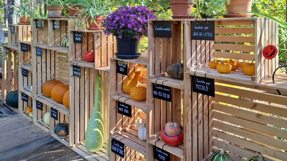 Výstava dýní Botanická zahrada Praha