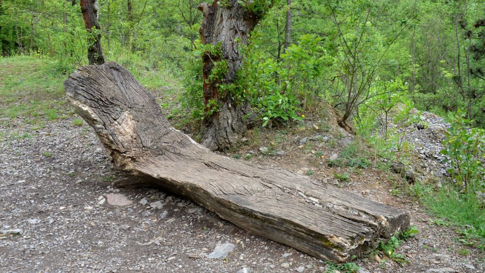 Sochařské dílo Lehátko Lukáše Gavlovského vyrobené z dubového dřeva