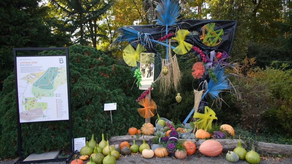 Výstava dýní v botanické zahradě v Troji 2024