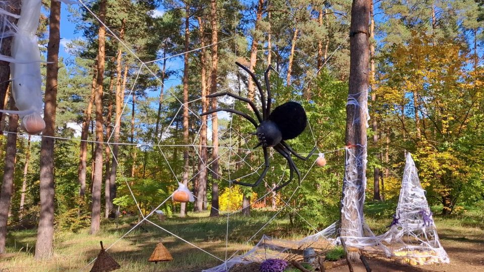 Výstava dýní Botanická zahrada Praha