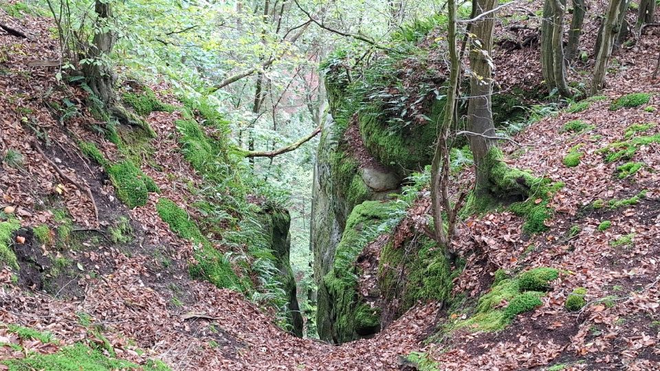 Pohled na rozeklané pískovcové skály přímo z hrany rokle Kokořínského dolu