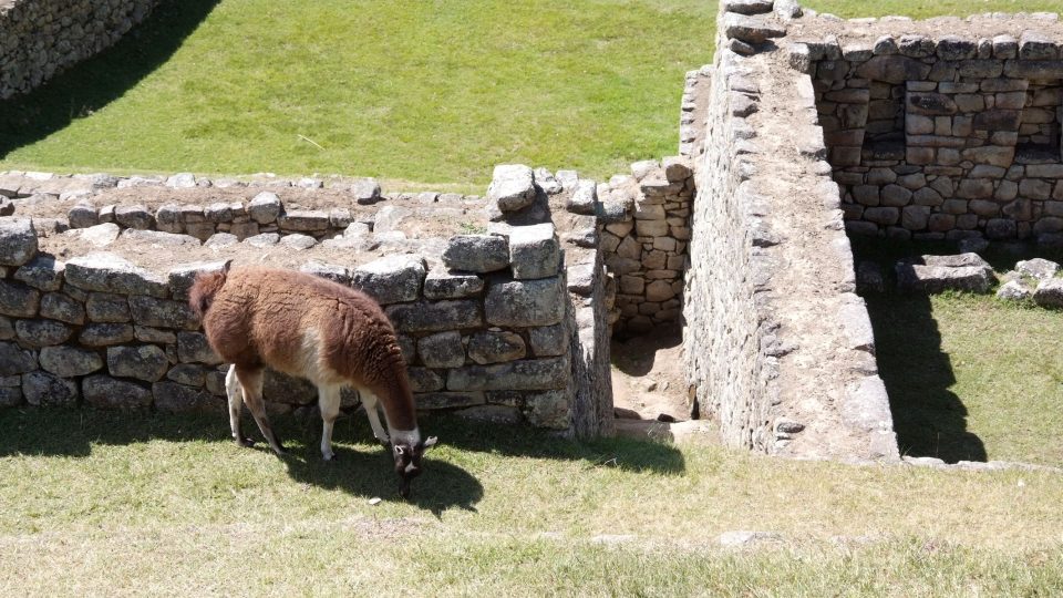 Idylka na Machu Picchu