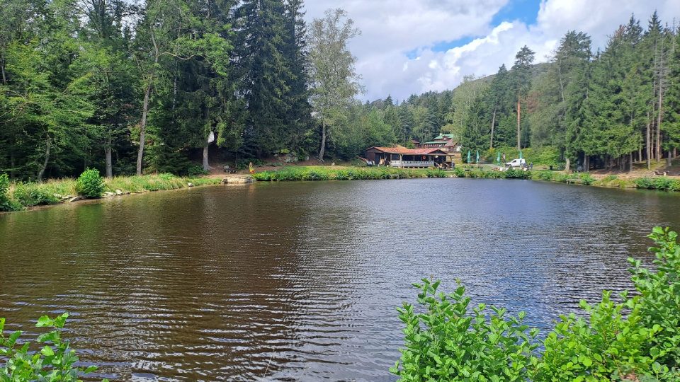 Lesní rybník nabízí chladnou, ale krásně čistou vodu