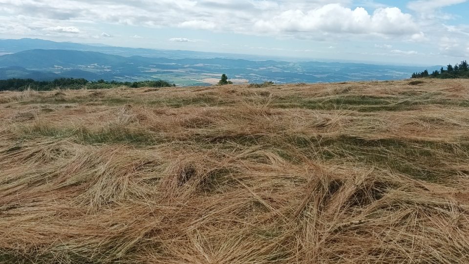 Odlesněný hřeben Velké Javořiny umožňuje za hezkého počasí vynikající rozhled