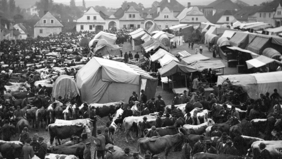 Trh s dobytkem na náměstí v Blovicích (1895)