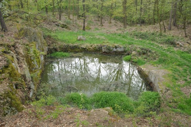 Jeden ze zatopených lomů u Raškovic se jmenuje Bezedná jáma | foto: Šárka Kuchtová,  Český rozhlas