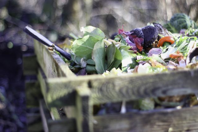 Přestože je kompostování v mnoha směrech výhodné a ekologické,  existuje odpad,  který byste do něj nikdy neměli přidávat | foto: Pixabay,  CC0 1.0