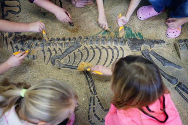 V interaktivním muzeu Trilopark si děti odkryjí dinosauří kostru | foto: Ladislav Zedník,  Trilopark