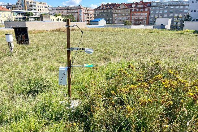 Sčítání hmyzu na zatravněné střeše vodejemu v Praze na Floře | foto: Petr Kastner,  Český rozhlas