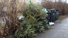 Vánoční stromky končí u popelnic
